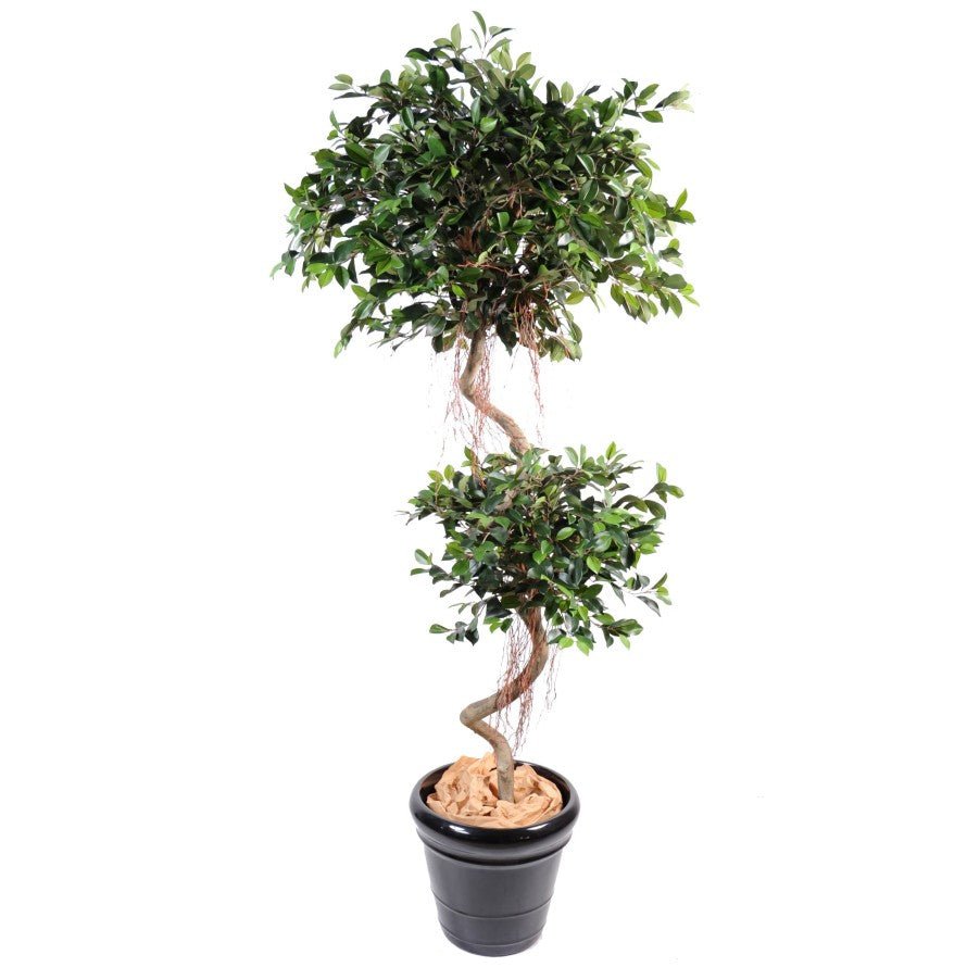 Ficus artificiel spirale 2 boules - Plantes Artificielles - Green Fire 57