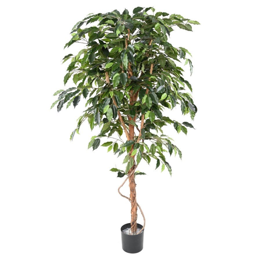 Ficus artificiel tronc simple - Plante artificielle - Green Fire 57