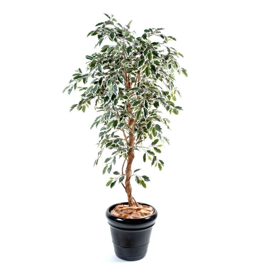 Ficus artificiel tronc simple - Plante artificielle - Green Fire 57