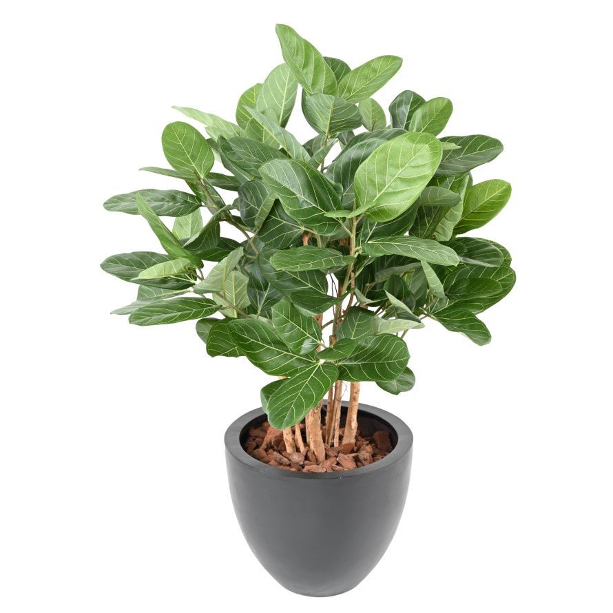 Ficus AUDREY BUISSON - Plantes Artificielles - Green Fire 57