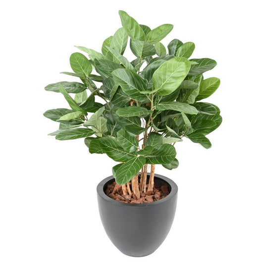 Ficus AUDREY BUISSON - Plantes Artificielles - Green Fire 57