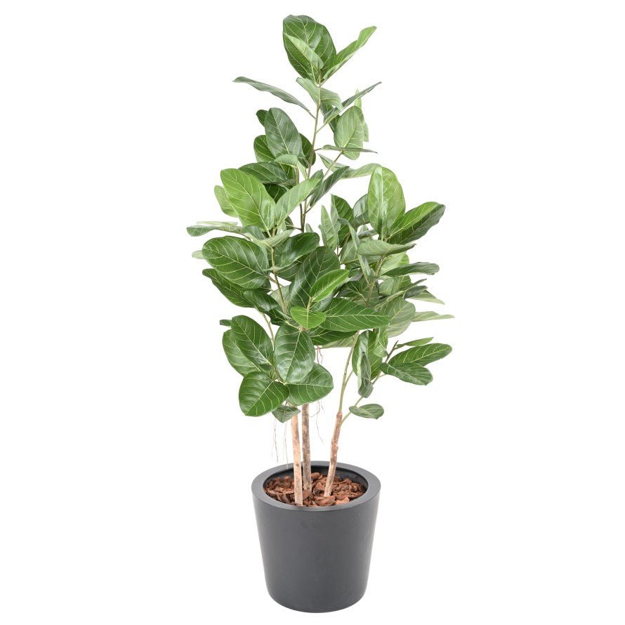 Ficus AUDREY - Plantes Artificielles - Green Fire 57