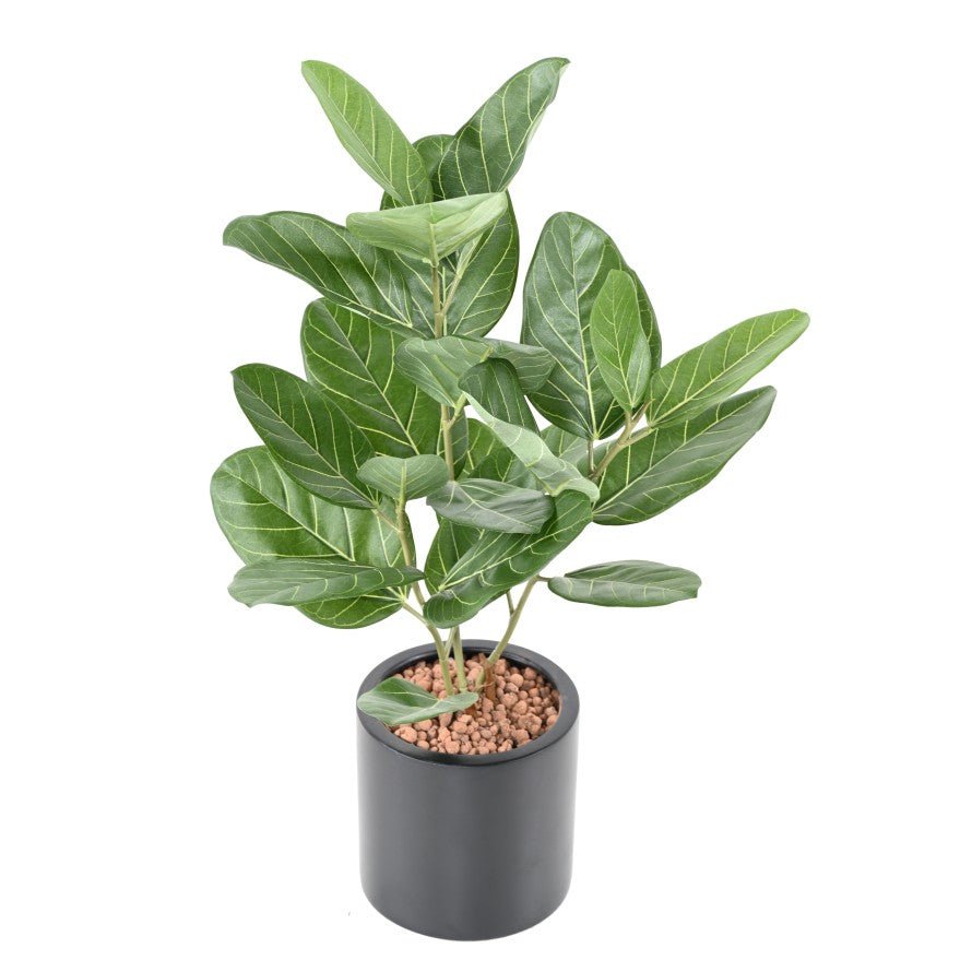 Ficus AUDREY - Plantes Artificielles - Green Fire 57