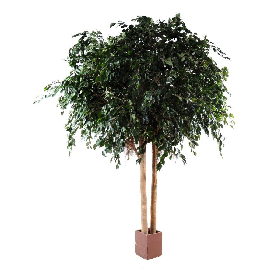 Ficus EXOTICA GEANT - Plantes Artificielles - Green Fire 57