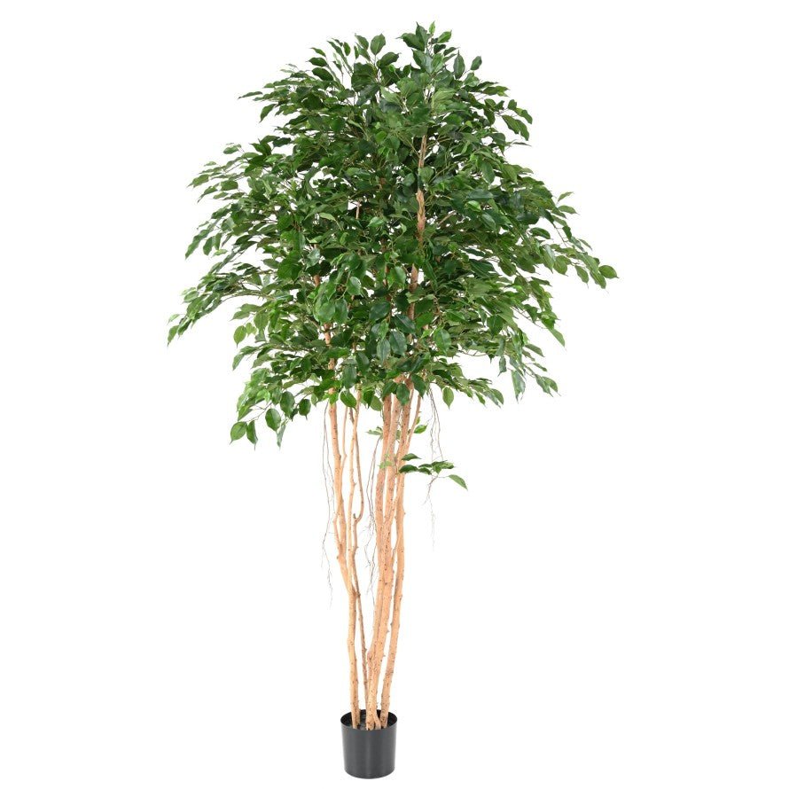 Ficus EXOTICA MT 260 - Plantes Artificielles - Green Fire 57