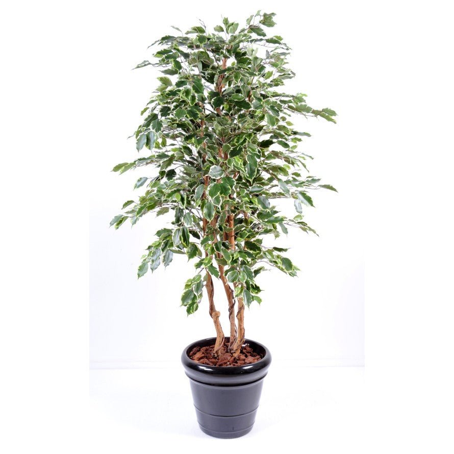 Ficus EXOTICA - Plantes Artificielles - Green Fire 57