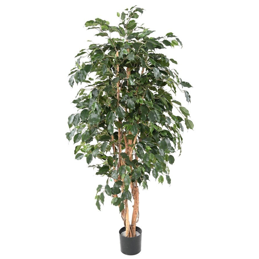 Ficus EXOTICA - Plantes Artificielles - Green Fire 57