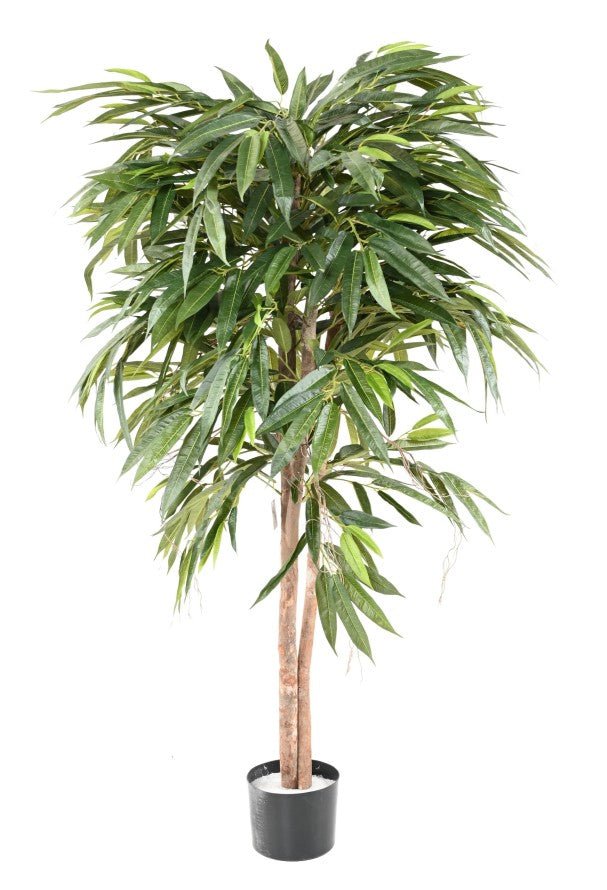 Ficus LONGIFOLIA - Plantes Artificielles - Green Fire 57