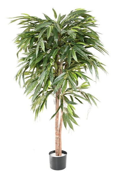 Ficus LONGIFOLIA - Plantes Artificielles - Green Fire 57