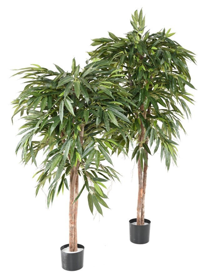 Ficus LONGIFOLIA - Plantes Artificielles - Green Fire 57