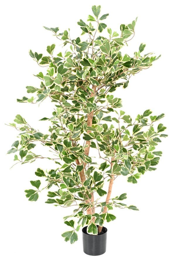 Ficus TRIANGULARIS - Plantes Artificielles - Green Fire 57