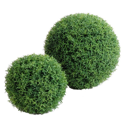 Hedyotis Boule - TOPIAIRES - Green Fire 57