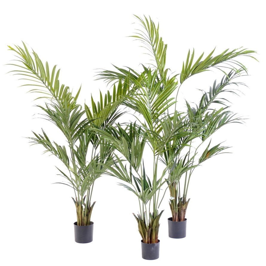 Kentia artificiel Palm - PLANTES ARTIFICIELLES - Green Fire 57