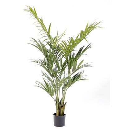 Kentia artificiel Palm - PLANTES ARTIFICIELLES - Green Fire 57