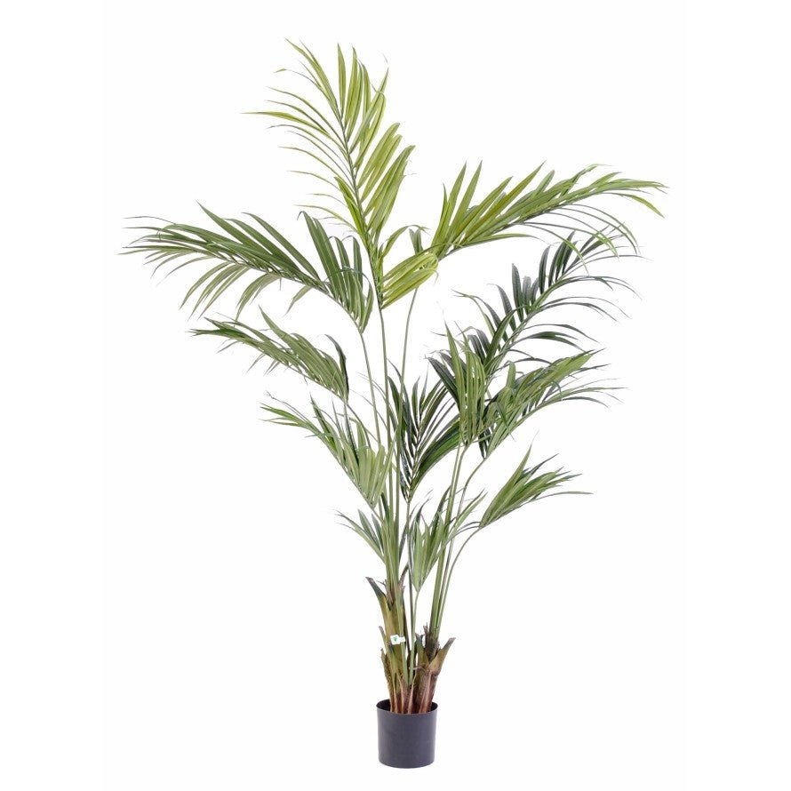 Kentia artificiel Palm - PLANTES ARTIFICIELLES - Green Fire 57