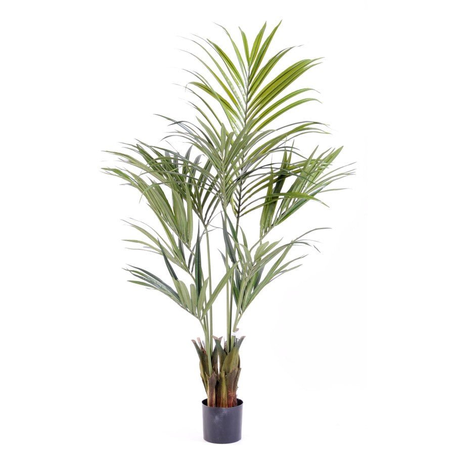 Kentia artificiel Palm - PLANTES ARTIFICIELLES - Green Fire 57