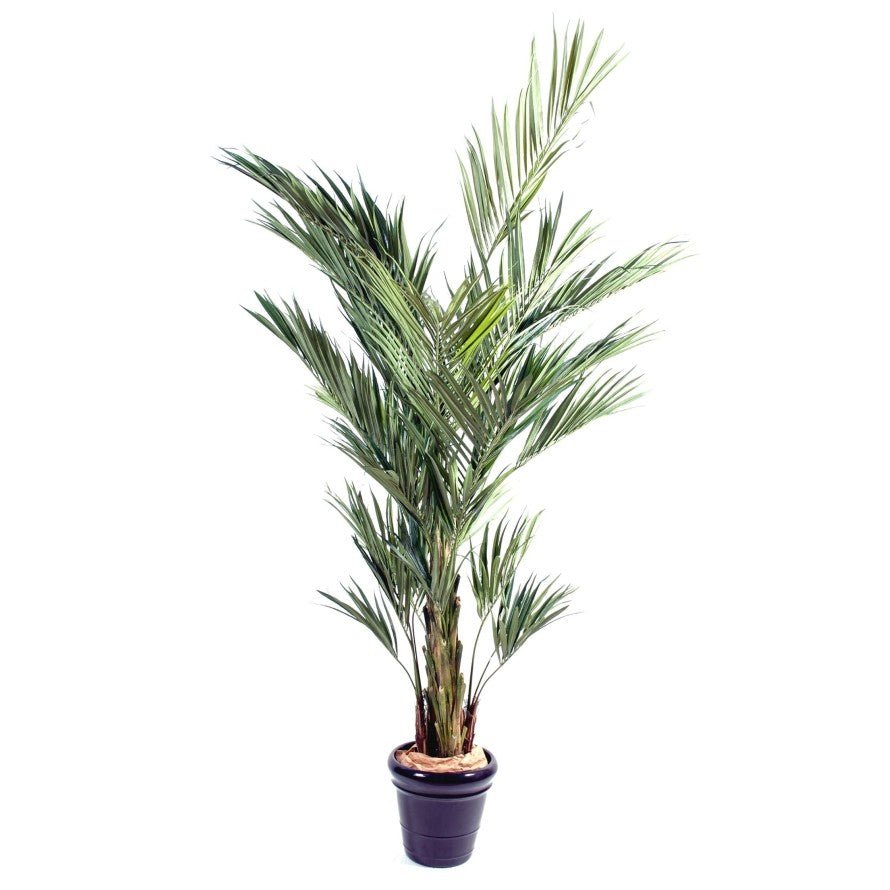 KENTIA ROYAL artificiel - PLANTES ARTIFICIELLES - Green Fire 57