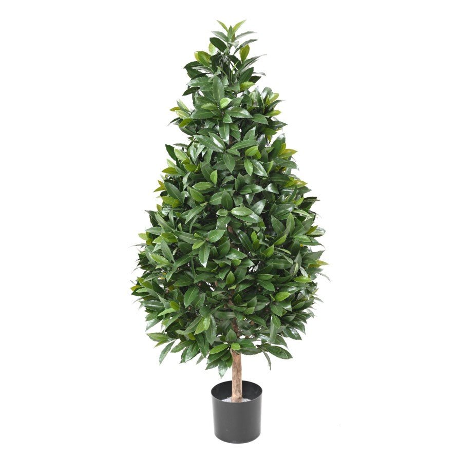 Laurier Nobilis New Cone Large - TOPIAIRES UV RESISTANT - Green Fire 57