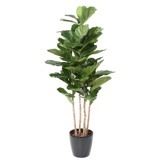 Lyrata artificiel multi - Plantes Artificielles - Green Fire 57