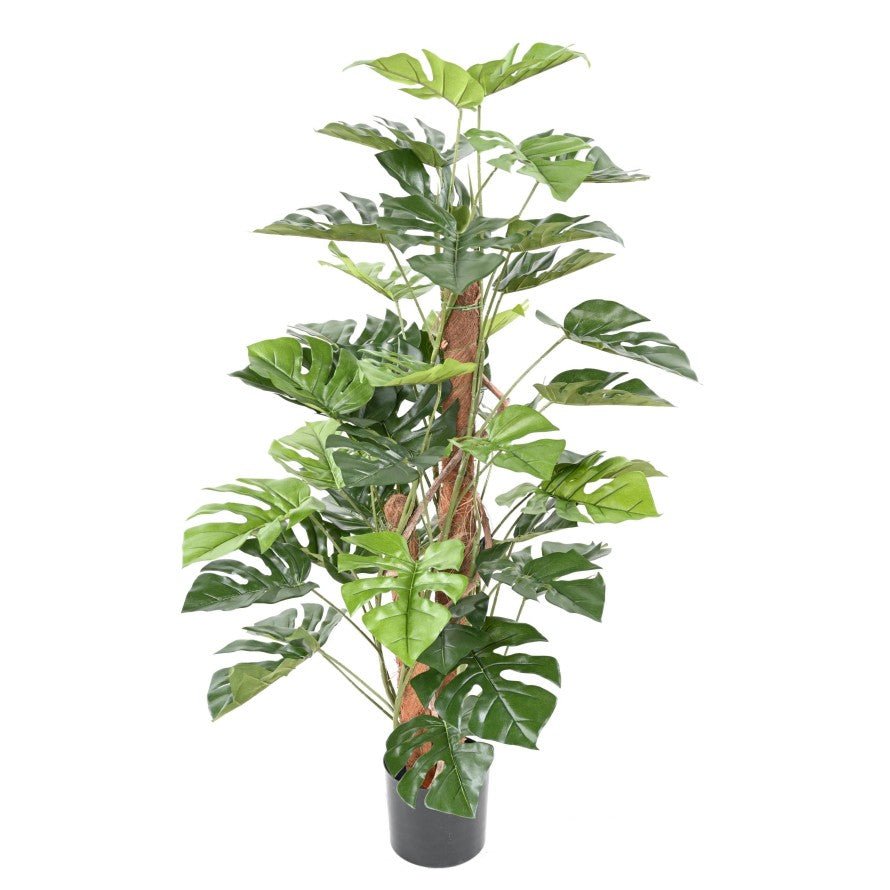 Philodendron artificiel tuteur coco - Arbres et Arbustes - Green Fire 57