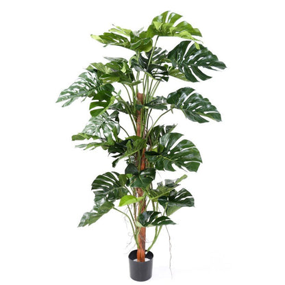 Philodendron artificiel tuteur coco new - Arbres et Arbustes - Green Fire 57