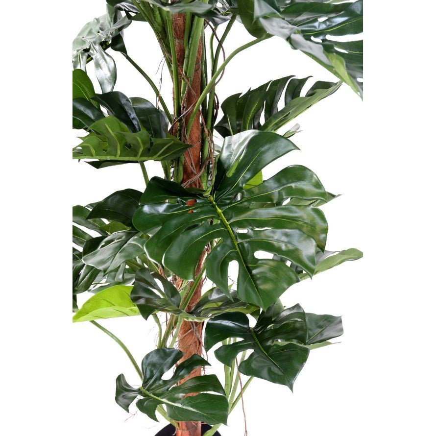 Philodendron artificiel tuteur coco new - Arbres et Arbustes - Green Fire 57