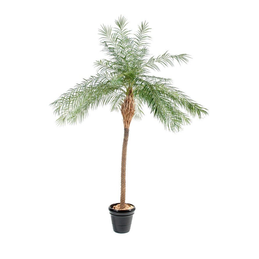 PHOENIX NEW Phoenix artificiel NEW - PLANTES ARTIFICIELLES - Green Fire 57