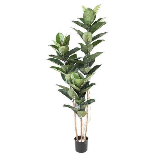 Rubber Plant artificiel 170 - Plantes Artificielles - Green Fire 57