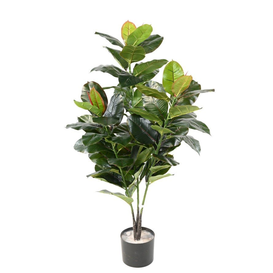 Rubber tree Artificiel - Plantes Artificielles - Green Fire 57