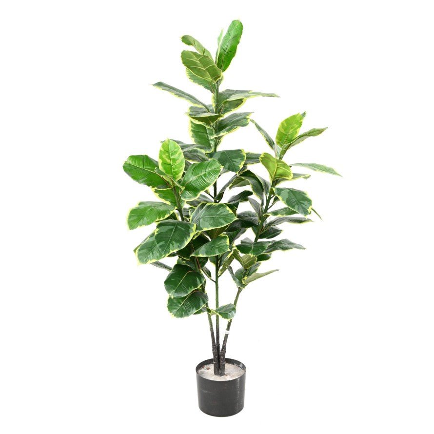 Rubber tree Artificiel - Plantes Artificielles - Green Fire 57