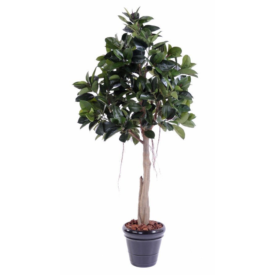 Rubbert Plant Tree Artificiel - Plantes Artificielles - Green Fire 57