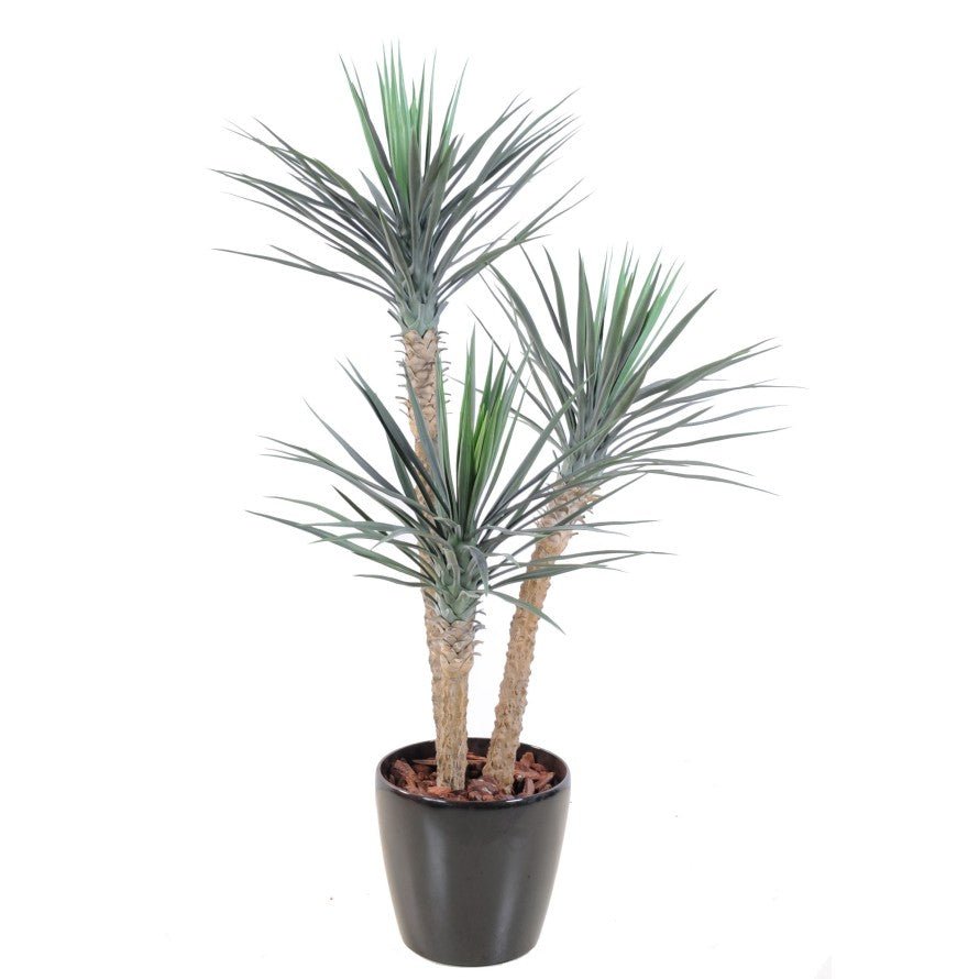 Yucca artificiel rostrata - PLANTES ARTIFICIELLES - Green Fire 57