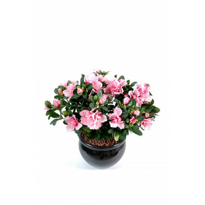 Azalée artificielle 35 cm - Plante artificielle - Greenfire57