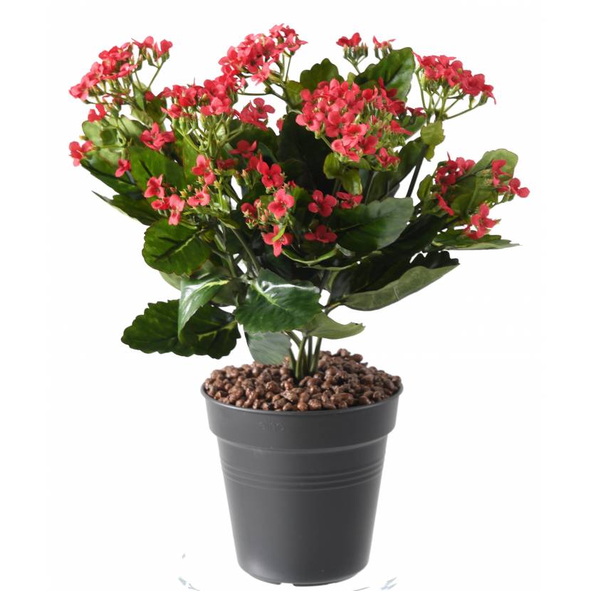 Kalanchoe artificiel - Plante artificielle - Greenfire57