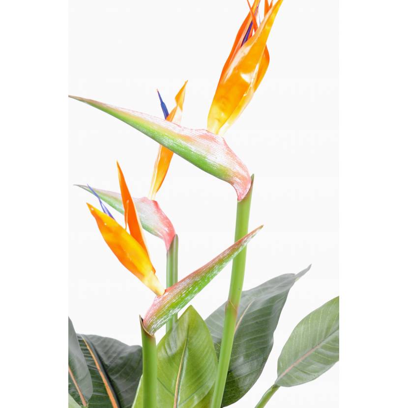 Strelitzia - Végétal artificiel - Greenfire57